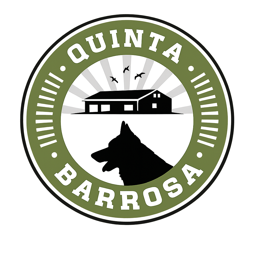 Logo Quinta da Barrosa